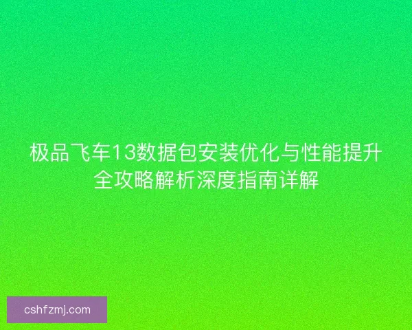 极品飞车13数据包安装优化与性能提升全攻略解析深度指南详解